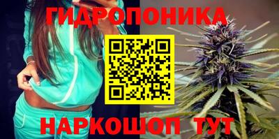 эйфоретик Лесосибирск